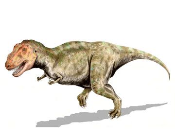 Тираннозавры массово погибали от воспаления гортани