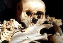 Исследование черепов каменного века. Хочется отметить о том, что фото BBC News