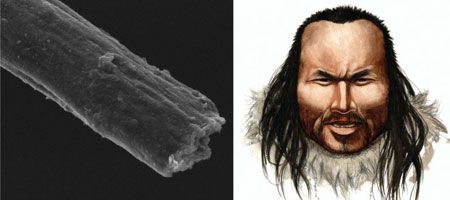 Слева - фото волоса Инука, приобретенная при помощи электрического микроскопа, справа: так Инук мог смотреться в жизни, 4000 годов назад. Отметим, что изображение с веб-сайта www. wired. com