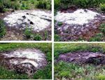 Карьер Фирташа в Белогорском районе уже сделали «мертвой зоной» (ФОТО) / На очереди умерщвление живой воды